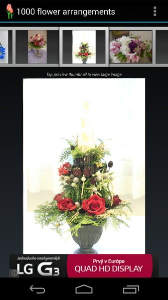 1000 flower arrangements - Preview 6