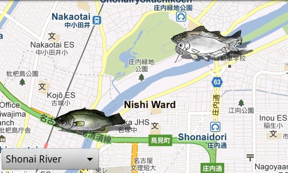 Nushi Fishing - Preview 7