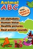 Animal ABC screenshot 18