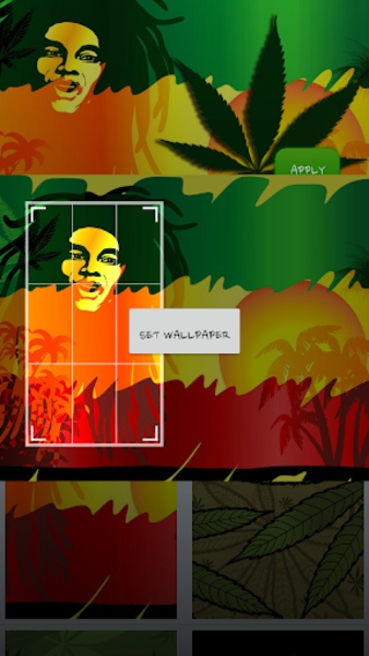 Reggae Rasta Color Theme - Preview 7