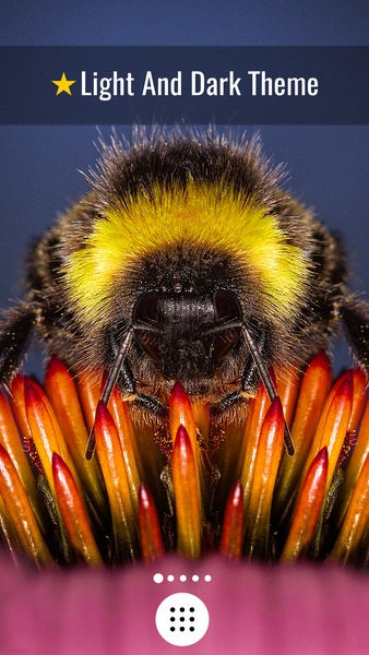 Macro Wallpapers - Preview 4