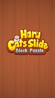 Haru Slide Puzzle Extend screenshot 8