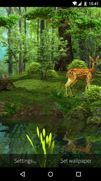 Dawn Forest 3D - Preview 5