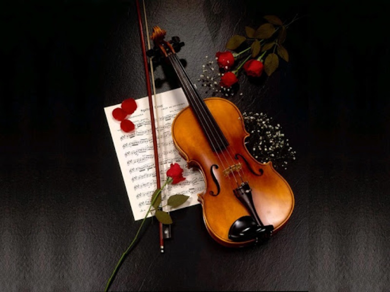 Violin Wallpaper - Preview 4