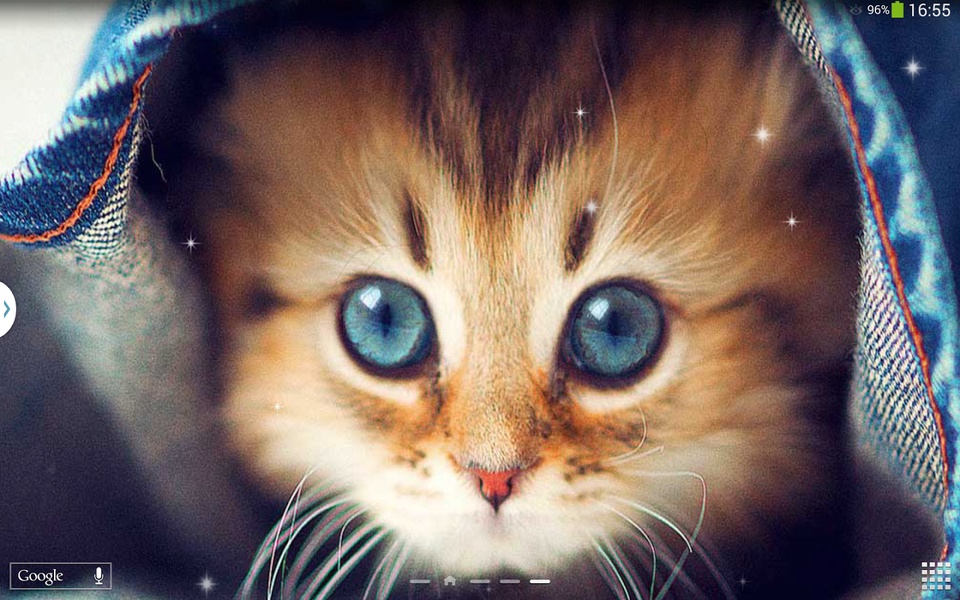 Cute Cats Live Wallpaper - Preview 8