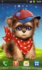 Cute Dog Free screenshot 3