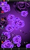 Roses Wallpaper screenshot 5