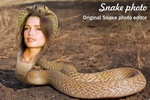 Snake Photo Frame screenshot 3
