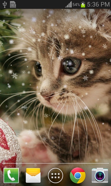 Christmas Cat live wallpaper - Preview 3