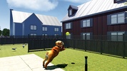 Bull Dog Simulator screenshot 11