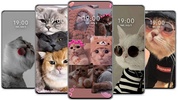 Cute Cat Wallpaper screenshot 4