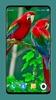 Parrot Wallpapers 4K screenshot 16