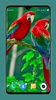 Parrot Wallpapers 4K screenshot 16