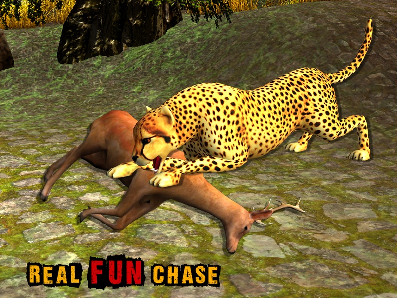 African Cheetah Wildlife - Preview 8