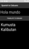 Spanish to Cebuano Translator screenshot 4