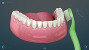 Dental 3D Illustrations screenshot 3