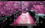 Sakura Live Wallpaper screenshot 2