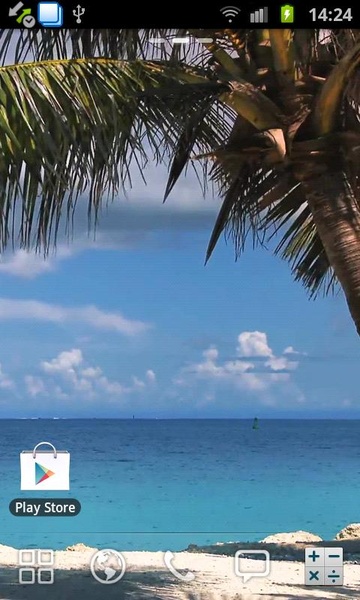 Beach Palm Tree Live Wallpaper - Preview 2