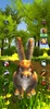 Talking Rabbit screenshot 1