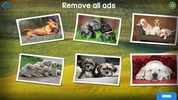 Dog Puzzles screenshot 1