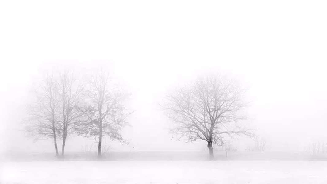 White Wallpapers - Preview 2
