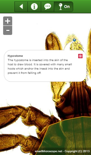 smart Microscope Lite - Preview 10