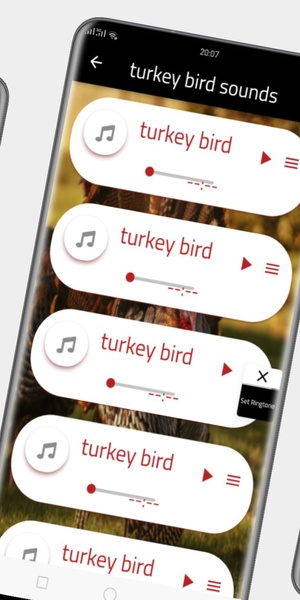 turkey bird sounds - Preview 3