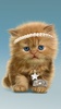 Baby Cat screenshot 5