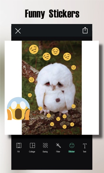 SquarePhoto - Preview 4