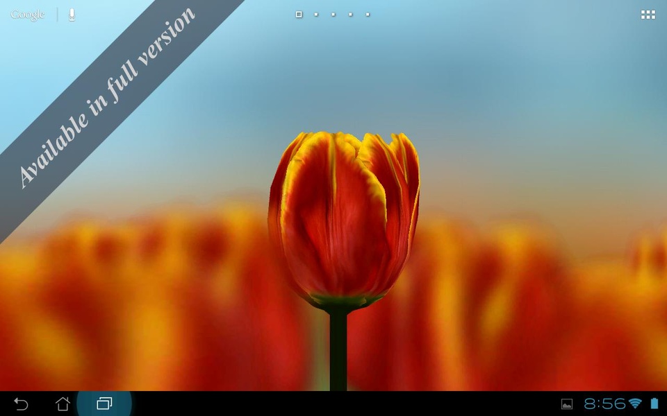 3D Tulip Free - Preview 3