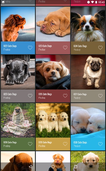 Cute Dogs Wallpapers - Preview 10