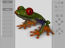 3D Frog Skeleton screenshot 8