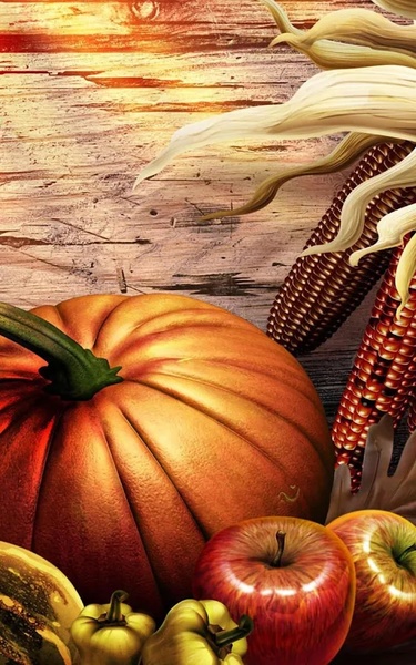 Thanksgiving Live Wallpaper - Preview 3