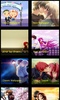 Couples HD Wallapapers screenshot 2