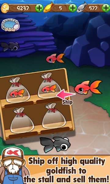 Goldfish Collection - Preview 3