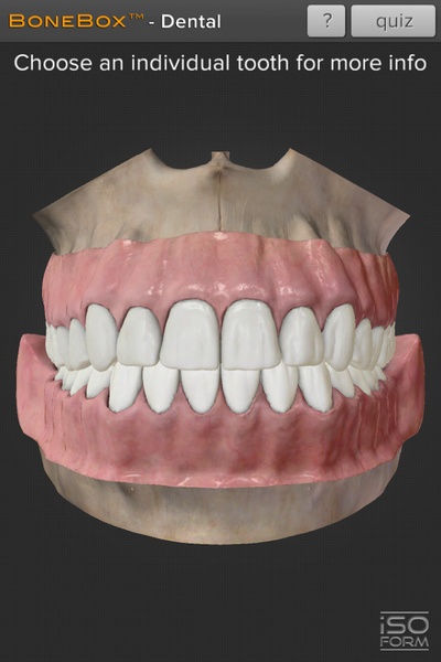 Dental - Lite - Preview 3