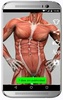 Anatomia humana gratis en Español screenshot 3