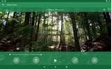 Entspannen Wald screenshot 7