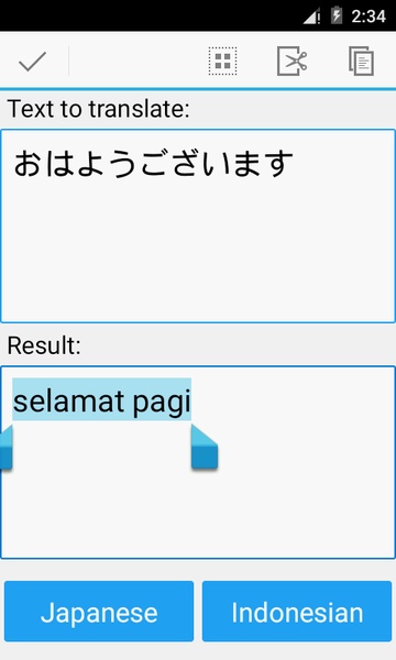 Indonesian Japanese Translator - Preview 3