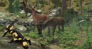 VR Zoo screenshot 5