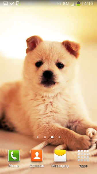 Cute Dogs Live Wallpaper - Preview 1