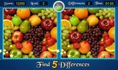 Find Five Differences screenshot 8