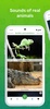 Animal sounds screenshot 4