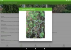 GaLaBau Pflanzen screenshot 2