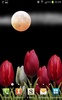 Flowers HD free Live Wallpaper screenshot 5