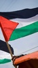 Palestine Wallpaper screenshot 10