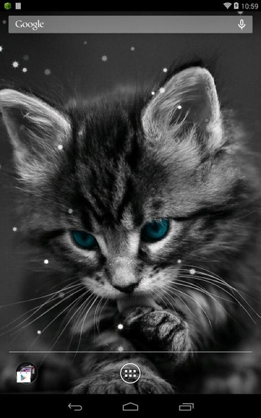 Q Cat - Preview 9