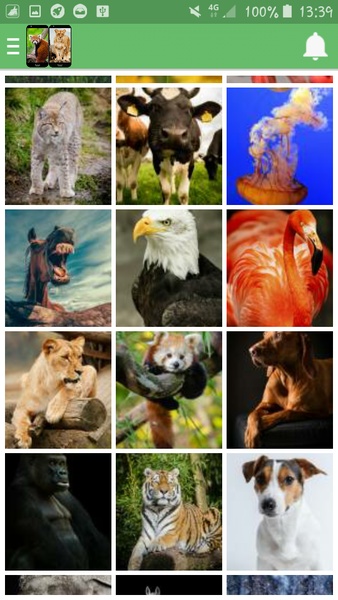 Animal Wallpapers - Preview 2