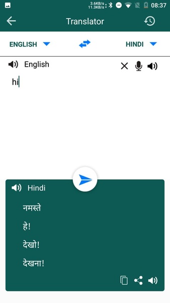 Hindi To English Translator - Preview 3