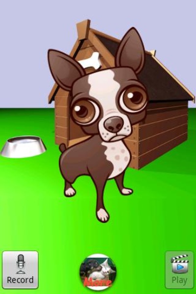 Talking Chihuahua - Preview 3